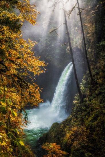 Re-Edited Eagle Creek waterfall to avoid common post processing mistakes Oregon Waterfalls, Dry Desert, Eagle Creek, Falls Creek, Best Sunset, Photoshop Photography, Best Hikes, Landscape Photographers, Landscape Photos