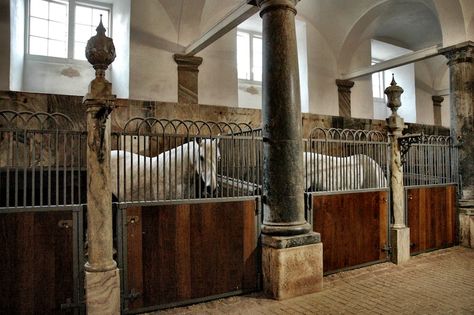 Fancy Stables, Prince Jungkook, Christiansborg Palace, Victorian Horse, Jungkook Ff, Dream Stables, Horse Stable, My Prince, Stables Design