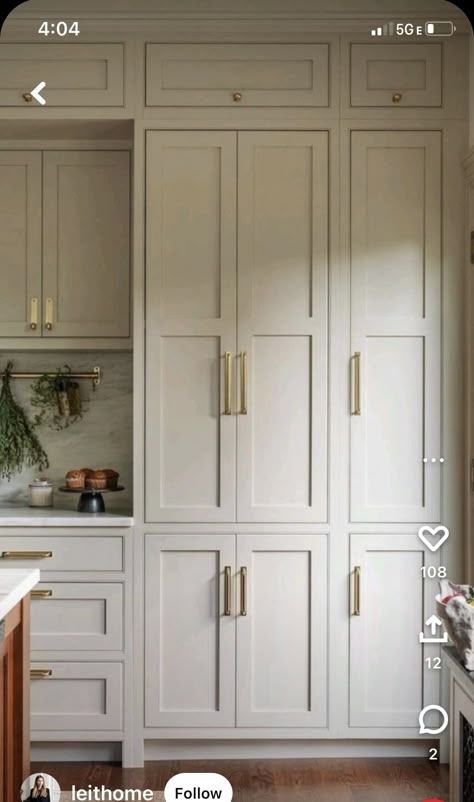 Sage Pantry Cabinets, Full Height Pantry Cabinets, Large Kitchen Pantry Cabinets, Built In Wall Pantry, Floor To Ceiling Kitchen Cabinet Wall, Pantry Built In Cabinets, Floor To Ceiling Cabinets Kitchen, Pantry Cabinets In Kitchen, Tall Cabinet Kitchen