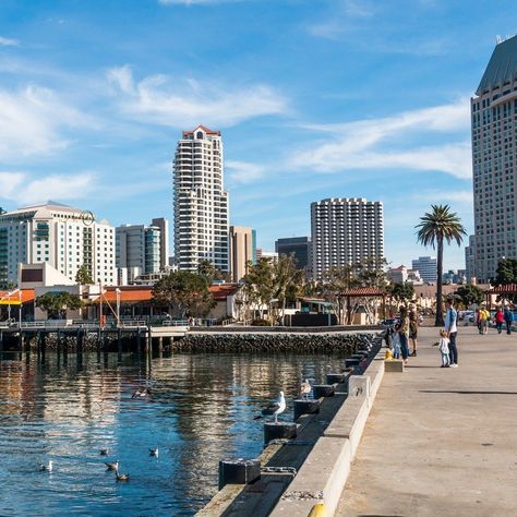 San Diego Skyline, San Diego City, San Diego Bay, San Diego Travel, San Diego Living, San Diego Beach, Downtown San Diego, Balboa Park, California Dreamin'