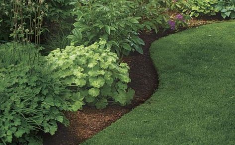 Landscape Edging Stone, Landscape Ideas Front Yard Curb Appeal, Perfect Edges, Flower Bed Borders, Landscape Accessories, Landscape Edging, Lawn Edging, Fine Gardening, Garden Shrubs