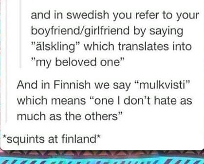 Swedish vs Finnish term of endearment “squints at Finland” Terms Of Endearment In Other Languages, Endearments In Different Languages, Swedish Humor, Swedish Language, Laughing Funny, Ironic Memes, Together Quotes, Terms Of Endearment, Language Study