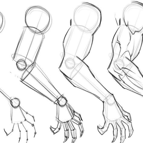 Human Structure Sketch, Hand Structure Anatomy, Male Hand Anatomy, Legs Drawing Tutorial, Body Structure Drawing Anatomy Reference, Anatomy Tips, Structure Drawing, Monster Sketch, Base Anime