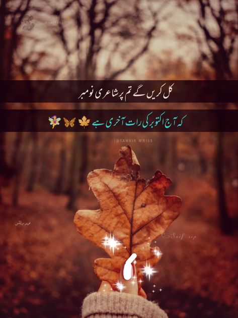 November Last Night Poetry In Urdu, Nature Poetry In Urdu, Winter Coming Quotes, October Shayari In Urdu, October Poetry In Urdu, Winter Weather Quotes, November Poetry In Urdu, October Poetry, November Poetry