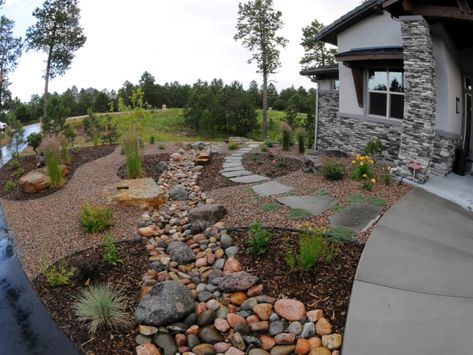 Xeriscape Landscaping Backyard, Xeroscaping Backyard, Front Yard Xeriscape Ideas, Xeriscape Colorado, Xeriscape Yard, Front Yard Xeriscape, Xeriscaping Ideas, Colorado Landscaping, Xeriscape Ideas