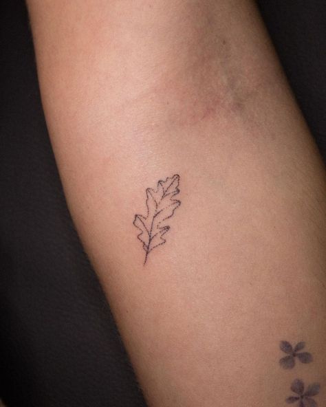 Pin Oak Leaf Tattoo, Kale Leaf Tattoo, Oak Tree Leaf Drawing, Tiny Oak Leaf Tattoo, Oak Tree Leaves Tattoo, Oak Leaf Tattoo Simple, Acorn Tree Tattoo, Small Maine Tattoo, Acorn And Oak Leaf Tattoo