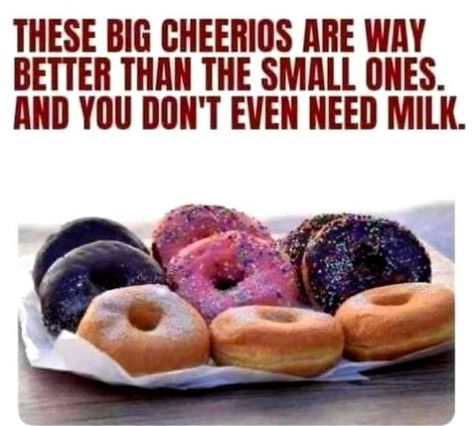 Diet Jokes, Facebook Funny, National Donut Day, Computer Geek, Food Puns, Clean Humor, November 1, Food Humor, Mom Quotes