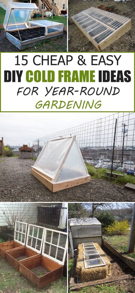 15 Cheap & Easy DIY Cold Frame Ideas for Year-Round Gardening Cold Frame Ideas, Diy Cold Frame, Serre Diy, Cold Frame Diy, Cold Frame Gardening, Cheap Greenhouse, Diy Jardin, Best Greenhouse, Vegetable Garden Raised Beds