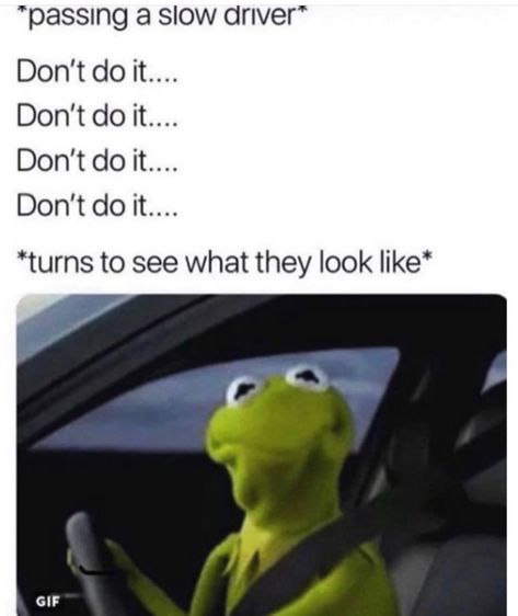 Slow driver lol lmao Funny Kermit Memes, Cool Memes, Kermit Funny, 9gag Funny, 디즈니 캐릭터, Humor Mexicano, Horror Movie Posters, 웃긴 사진, Crazy Funny Memes