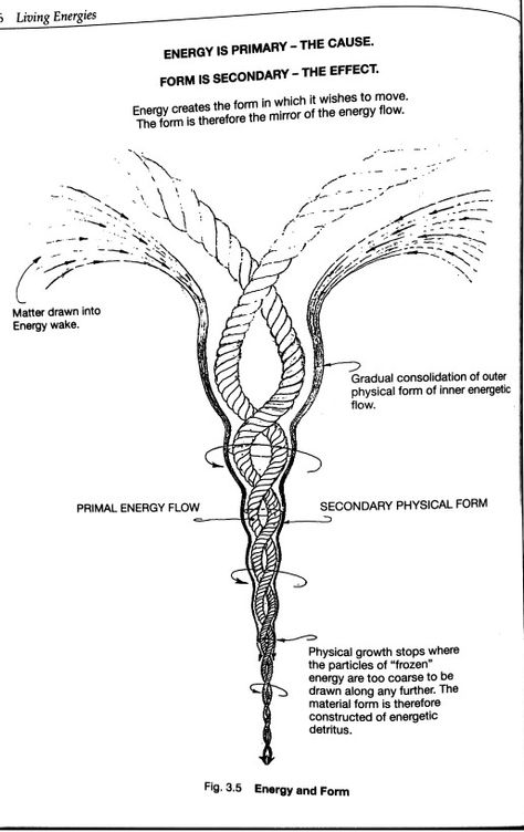 Beautiful drawing. Viktor Schauberger, Cause And Effect, Free Energy, Beautiful Drawings, Energy, Make It Yourself, Drawings, Quotes