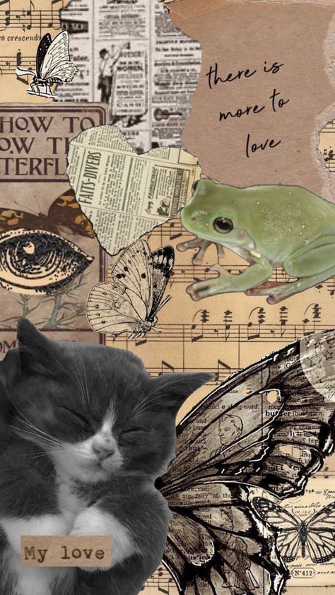 #shuffle #cat #literature #frogs Cat Shuffle, Give Me Butterflies, Adorable Cats, Bullet Journal School, Wallpaper Pictures, Classy Nails, Connect With People, Your Aesthetic, Creative Energy