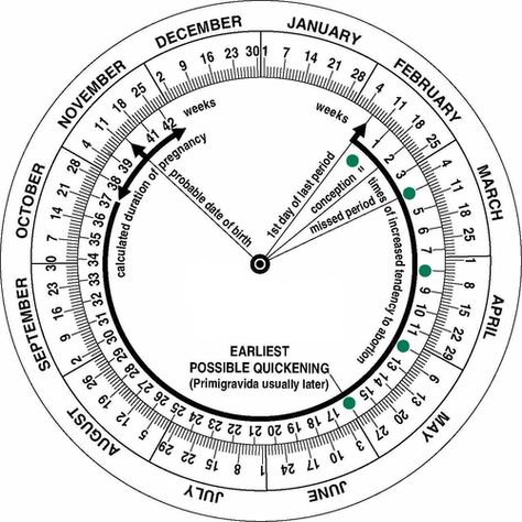 Pregnancy Due Date Calculator Week by Week Pregnancy Week Calculator, Pregnancy Due Date Calculator, Due Date Calculator, Surgical Equipment, Pregnancy Due Date, Age Calculator, Pregnancy Calendar, Pregnancy Calculator, Pregnancy Progression