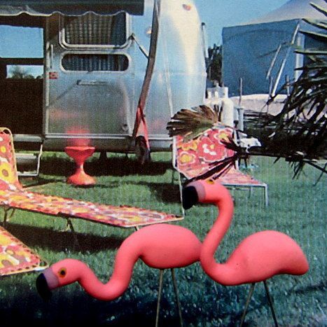 Trailer Trash Aesthetic, Trailer Park Trash, Trailer Trash Party, Trash Magic, Trashy Aesthetic, Lawn Flamingos, Terrence Loves You, Trash Party, Americana Aesthetic