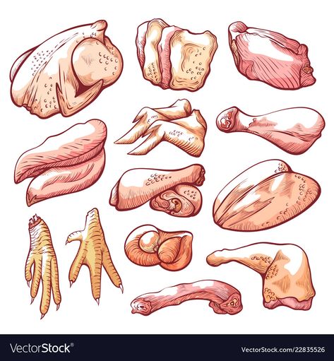 Meat Illustration Design, Chicken Food Drawing, Chicken Illustration Food, Meat Illustration, Meat Drawing, Chicken Drums, Meat Art, Nyonya Food, Chicken Vector