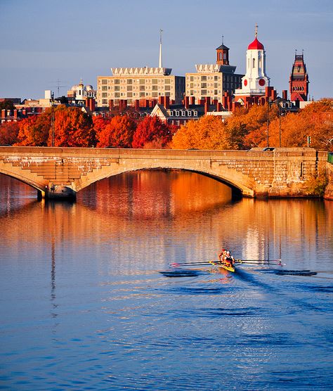 Still on the river in November - DiscoverTheCharles.com Invisible Cities, Ivy Style, Charles River, Autumn Scenery, River Boat, River Cruises, A Bridge, Rowing, Fall Foliage