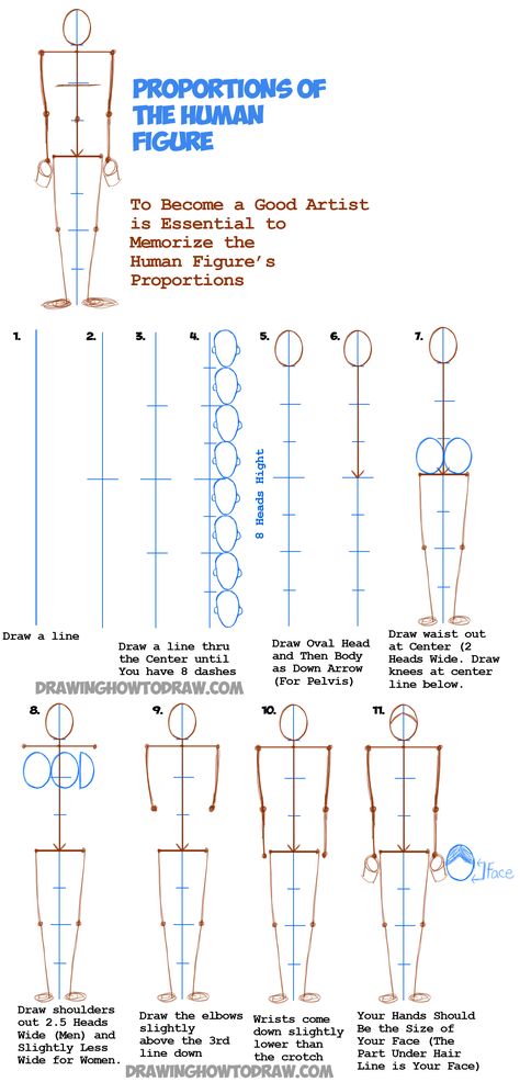 Learn How to Draw Human Figures in Correct Proportions by Memorizing Stick Figures : Drawing People Tutorial Drawing People Tutorial, Stick Figures Drawing, Draw Human Figures, Figures Drawing, How To Draw Human, Drawing Body Proportions, Drawing Proportions, Figure Drawing Tutorial, Human Body Drawing