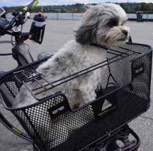 Pet Bike Basket, Dog Bike Carrier, Rear Bike Basket, Dog Bike Basket, Bike Wagon, Dog Trailer, Dog Accesories, Electric Bike Kits, Biking With Dog