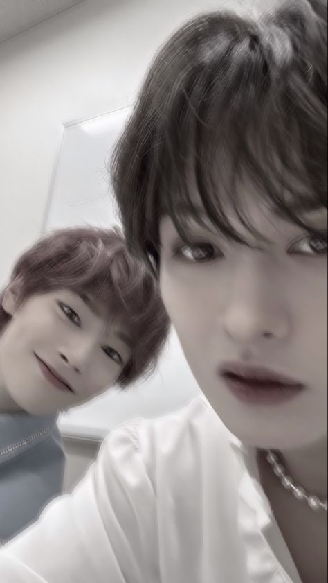 Jeongin And Lee Know Wallpaper, Lee Know Black And White, Lee Know Wallpaper Aesthetic, Minho Wallpaper, Lee Know Wallpaper, Cat Collage, Skz In Cute, Lee Minho, Cat Wallpaper