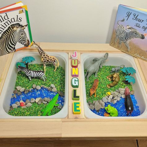 Jungle Sensory Bin - Raising Hooks Jungle Theme Classroom Preschool, Jungle Sensory Bin, Preschool Sensory Bins, Animals Sensory Bin, Sensory Bin Ideas, Classroom Preschool, Jungle Theme Classroom, Preschool Sensory, Cool Gingerbread Houses