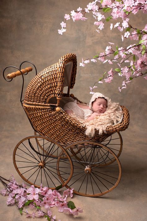 Newborn Photoshoot Backdrop, Whimsical Newborn Photography, Vintage Baby Photoshoot, Vintage Newborn Photography, Newborn Photography Girly, Photography Props Ideas, Newborn Photoshoot Props, Vintage Baby Carriage, Squishy Cheeks