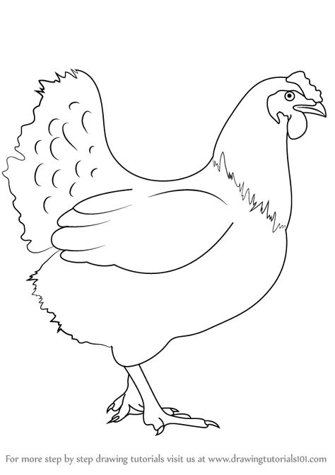 How To Draw Chicken, Drawings Of Chickens, Farm Drawing Easy, Chicken Painting Easy, Drawing Of A Chicken, Chicken Sketch, Hen Drawing, Draw A Chicken, Chicken Drawing