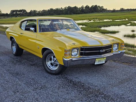 1969 Chevelle Ss, 1971 Chevelle, Chevelle Ss 454, 1969 Chevelle, Chevrolet Chevelle Ss, Chevelle Ss, Chevrolet Chevelle, Classic Cars Muscle, Muscle Car