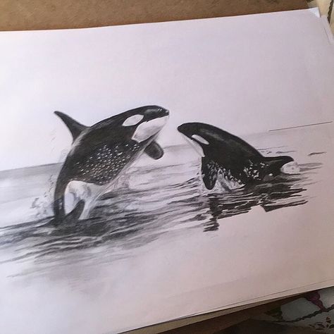 Orca Drawing Pencil, Orca Sketches, Orca Drawing, Animal Journal, Charcoal Artwork, Woodburning Ideas, Art Folio, Pencil Shading, Drawing Pencil