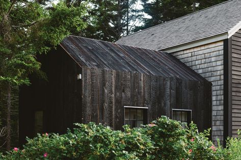 Shou Sugi Ban Clad House Extension featured in The New York Times. This charred timber cladding is available to view at the Exterior Solutions showroom based  at Sky House Design Centre Cedar Shingle Siding, Japanese Cedar, Sauna House, Black Houses, Cedar Roof, Shingle Siding, Sugi Ban, Shou Sugi Ban, Cedar Shingles