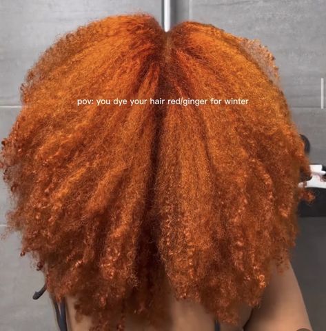 Ginger Hair Dyed, Red Orange Hair, Girl Hair Colors, Honey Brown Hair, Feed In Braids Hairstyles, Ginger Hair Color, Dyed Hair Inspiration, Braid Patterns, Colored Curly Hair