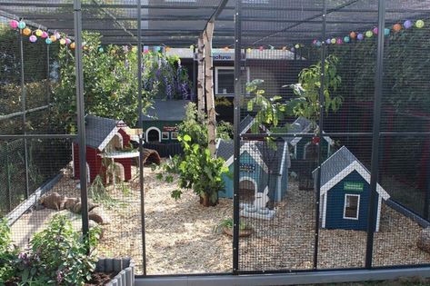 Rabbit Playground, Rabbit Enclosure, Cute Chicken Coops, Bunny Hutch, Coop Design, Bunny Cages, Chicken Coop Designs, Cat Cages, Building A Chicken Coop