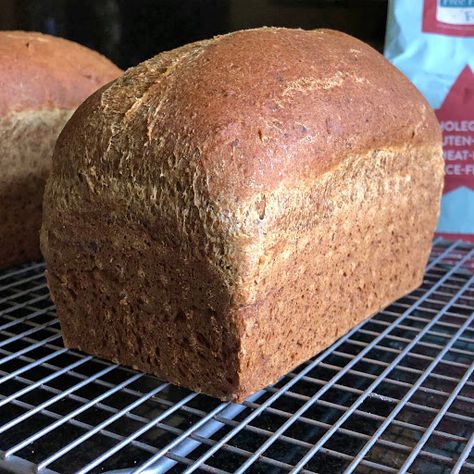 Gluten Free Alchemist, Whole Grain Gluten Free Bread Recipe, Gluten Free Brown Bread Recipe, Gluten Free Brown Bread, Gf Pastry, Gluten Free Oat Bread, Ra Diet, Gluten Free Bread Recipes, Bread Texture