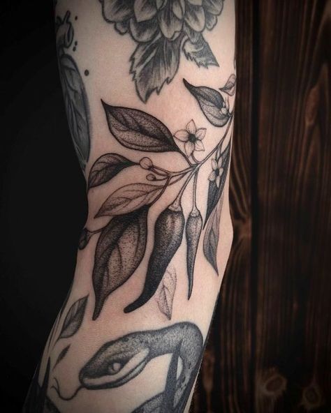 Chili Pepper Plant Tattoo, Chilli Plant Tattoo, Chili Plant Tattoo, Plant With Eyes Tattoo, Pepper Plant Tattoo, Chilly Tattoo, Jalapeno Tattoo, Chilli Pepper Tattoo, Chilli Tattoo