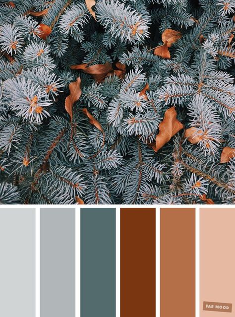 33 Pretty Winter Color Schemes { Grey   Pine   Brown } - Fabmood | Wedding Colors, Wedding Themes, Wedding color palettes Winter Color Schemes, Wedding Color Palettes, 달력 디자인, Winter Color Palette, Colors Wedding, Winter Wedding Colors, Color Schemes Colour Palettes, Grey Color Palette, Corporate Identity Design