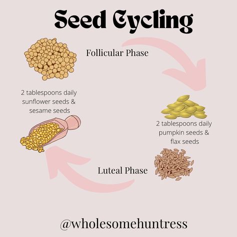 ✨ Seed Cycling for Hormone Balance ✨ Ever heard of seed cycling? 🌱 It’s one of my favorite ways to support your body through your cycle—naturally! Here’s the scoop: by eating specific seeds during different phases of your cycle, you can help balance your hormones. It’s all about syncing with your body’s natural rhythm. 💫 🌿 Follicular Phase (Day 1 of your period until ovulation): 2 tablespoons of pumpkin seeds + flax seeds daily to support healthy estrogen levels. 🌸 Luteal Phase (Ovulation... Follicular Phase, Luteal Phase, Seed Cycling, Balance Your Hormones, Gut Health Recipes, Hormone Balance, Flax Seeds, Health Recipes, Hormone Balancing