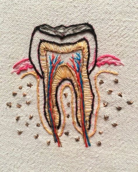 Dental Embroidery, Tooth Embroidery, Dentist Ideas, Future Dentist, Dental Wallpaper, Dentist Art, Dental Aesthetics, Teeth Art, Dentistry Student