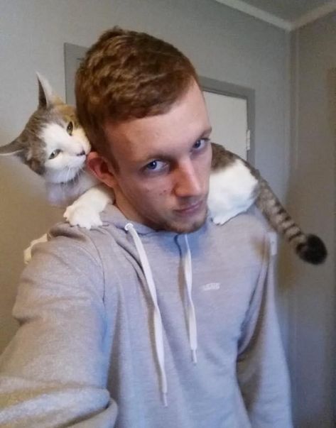 Cat On Shoulder, Heart Cats, Cat Stories, Pose References, Cat Climbing, Cat Shelter, Silly Cats, Crazy Cat Lady, Crazy Cats