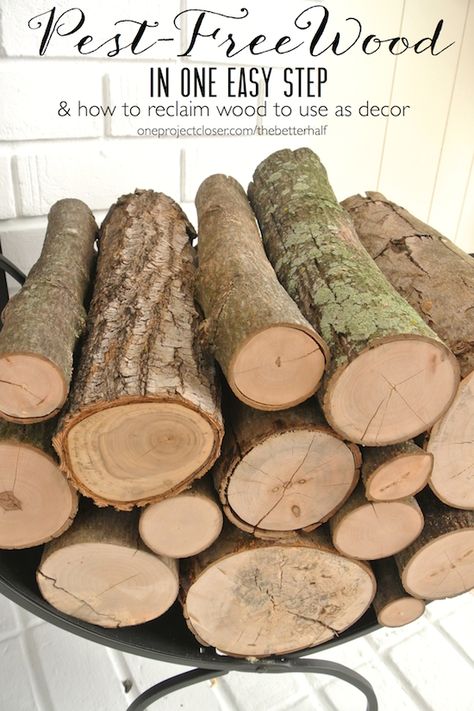 How to Kill Bugs in Wood: My FREE Decorative Logs How To Dry Wood Slices, How To Dry Wood, Log Decor, Wood Log Crafts, Log Projects, White Brick Fireplace, Kill Bugs, Dry Branch, Birch Logs