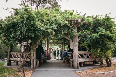 Brunch Reception, Central Park Fall, Park Wedding Ceremony, Central Park Wedding, Central Park Weddings, Buffalo Wedding, Cafe Bakery, Nyc Fall, Nyc Elopement