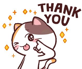 Thanks Gif, Thank You Gifs, Papan Tulis Kapur, Cat Sticker Set, Bear Gif, Meme Cat, Cat Emoji, Animated Emoticons, Happy Gif