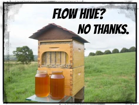 Diy Flow Hive Plans, Flow Bee Hive, Bee Hive Garden, Flow Hive Beekeeping, Flow Hive Plans, Home Bee Hive, Apiary Design, Bee Hive Stand, Bee Hive Kits