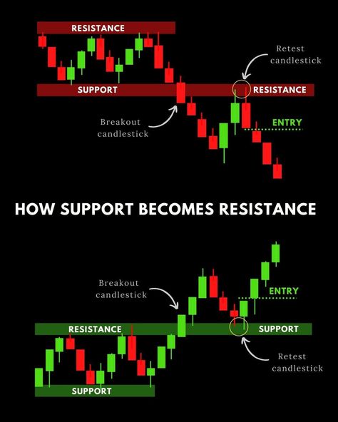 Forex traders from around the world

.
#crypto #bitcoin #cryptocurrency #blockchain #btc #ethereum #forex #money #bitcoinmining #trading #cryptocurrencies #bitcoinnews #bitcoins #cryptotrading #investment #investing #entrepreneur #cryptonews #invest #business #eth #bitcointrading #forextrader #litecoin #bitcoincash #trader #bitcoinprice #investor #forextrading #bhfypp Support Resistance Zones, Forex Ideas, Candlestick Psychology, Candle Patterns, Stock Patterns, Chart Patterns Trading, Arbitrage Trading, Candle Stick Patterns, Forex Trading Strategies Videos