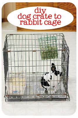 Bull Rock Barn and Home: How To Build a Rabbit Cage from a Dog Crate Rabbitry Ideas, Diy Bunny Cage, Rabbit Farming, Diy Rabbit Cage, Indoor Rabbit Cage, Outdoor Rabbit Hutch, Rabbit Stuff, Bunny Ideas, Bunny Cage