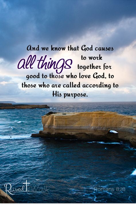 And we know that God causes all things to work together for good to those who love God and are called according to his purpose. Romans 8:28 #quotes #motivation #encouragement Everything Works For Good Verse, All Things Work Together For Good Verse, All Things New Scripture, Bible Study Fellowship, Good Words, Encouragement For Today, God Speaks, All Things Work Together, My Bible