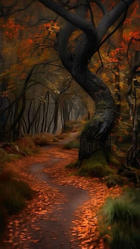 Rain Road, Autumn Things, Christmas Nature, Orange Room, Autumn Evening, Halloween Wallpaper Cute, Autumn Magic, Mystical Forest, Magic Aesthetic