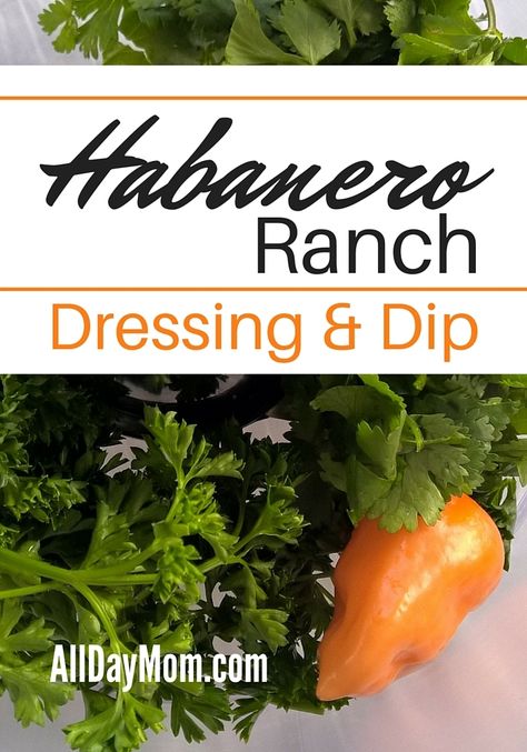 Habanero Ranch, Habanero Recipes, Healthy Ranch Dressing, Ranch Dressing Dip, Ranch Dressing Recipe, Ranch Recipe, Grocery Budget, Hot Peppers, Cheese Ball Recipes