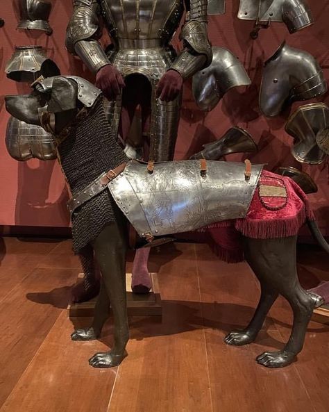 Made by Desiderius Helmschmid. 1530-1540 Royal Armoury. Royal Palace. Madrid. Hunting dogs could be protected by padded defenses. This armour from Charles V armoury is a unique example because of its metallic pieces, presumably made for a dog especially dear to the emperor. Its decoration represents a hunter ready for a boar’s charge, which indicates it was conceived for the hunting of said animal. Cat Armor, Dog Armor, Ancient Warfare, Poor Dog, Archaeological Finds, Found Art, Simple Leather, Armors, Animal Companions