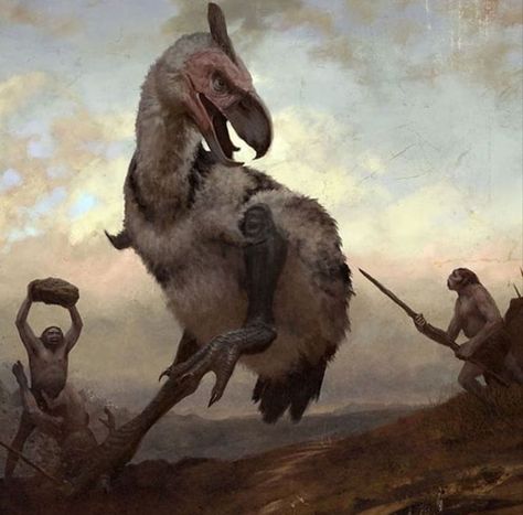 Does any one knows if this image is an anachronism? Had our ancestors to deal with this terror birds? Stone Age Animals, Terror Bird, Prehistoric Humans, Prehistoric Planet, Prehistoric Wildlife, Hunting Art, The Pigeon, Prehistoric World, Ancient Animals