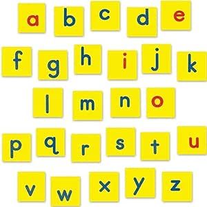 These are my favorite letters to use in small group because they sit so flat on the boards. I can prep these ahead of times to ensure whatever word family I am working on is ready to go. Magnetic Alphabet Letters, Small Alphabets, Stem Curriculum, Letter Tiles, Lowercase Letter, Magnetic Letters, Word Building, Word Recognition, Alphabet Cards