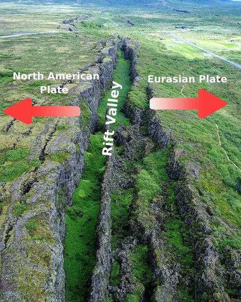 Rift valley Divergent Boundary, Plate Tectonic, Geology Art, Science Infographics, Rift Valley, Geology Rocks, Plate Tectonics, Wild Nature, Divergent