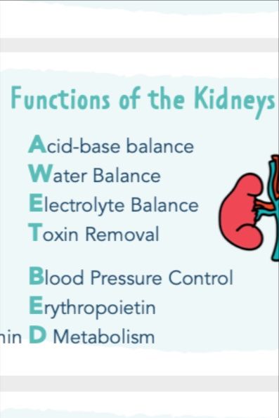 Renal Calculi Nursing, Acute Glomerulonephritis, Urinary System Notes, Renal Nursing, Med Surge, Renal Calculi, Nephrotic Syndrome, Acute Kidney Injury, Urinary System